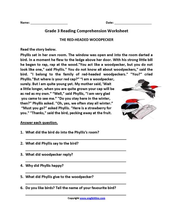 Free Summarizing Worksheets For 3rd Grade